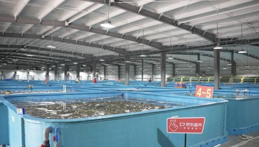香港澳门六开奖结果资料查询最新,108岁奶奶三个儿子已去世,整体规划执行讲解_游戏版V6.80