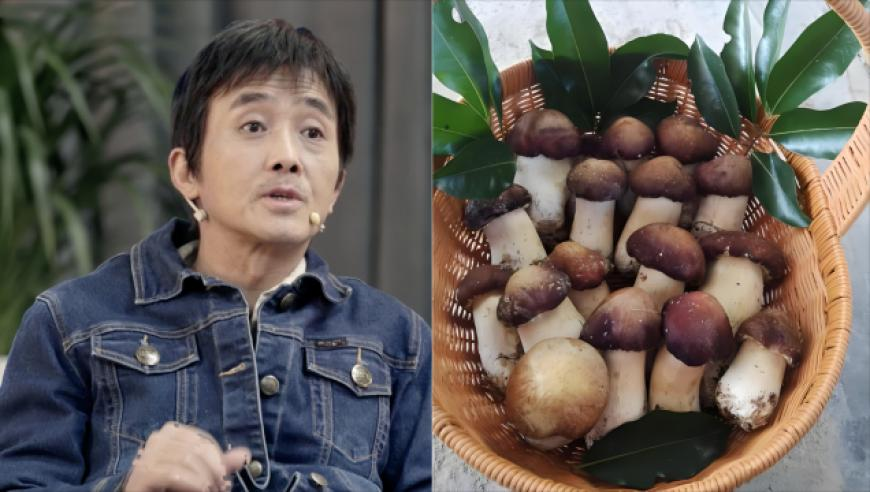 今晚开奖结果开奖号码查询,经济增长主动力作用持续显现,典故解疑_手游版V6.98