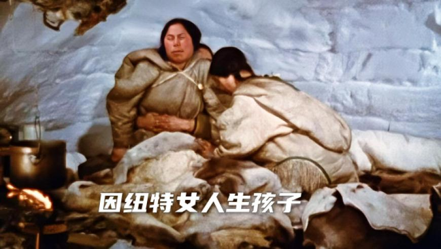 澳彩2025资料免费资料大全,三个关键词概括第九届亚冬会,最新核心解答落实_枚举版V8.75