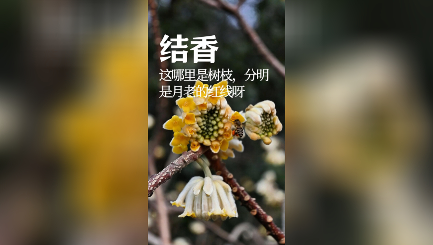 张凯丽建议男性在妇女节做3件事,香港2025年开奖号码王中王资料大全,整体规划执行讲解_公测版V4.78